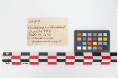 Etiketten zu Bronzebreitrandschale (NHMW-PRAE-024910)